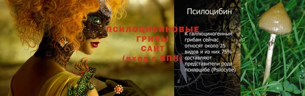 шишки Белоозёрский