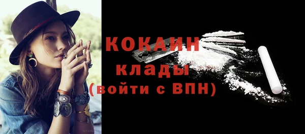 шишки Белоозёрский