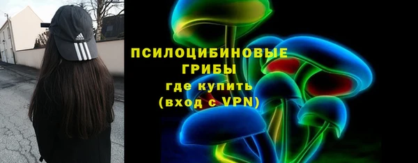 шишки Белоозёрский