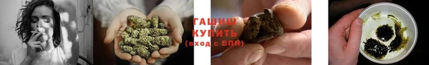 крисы Белокуриха