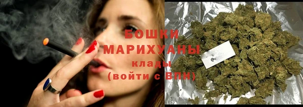шишки Белоозёрский