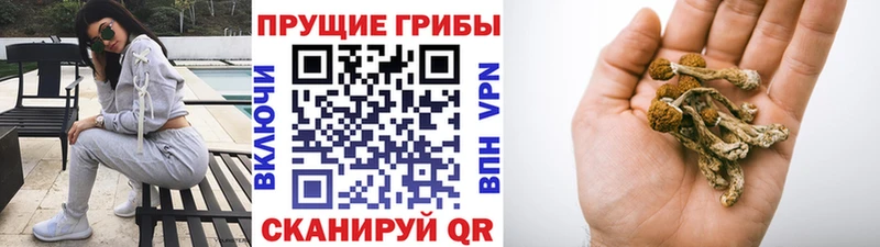 купить Краснокаменск Галлюциногенные грибы Magic Shrooms